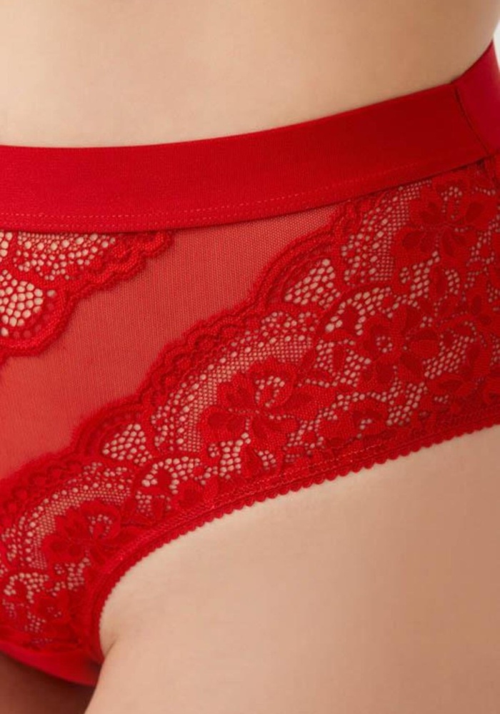 Dantelli Arkası Transparan Büyük Beden Bikini Külot CH6053