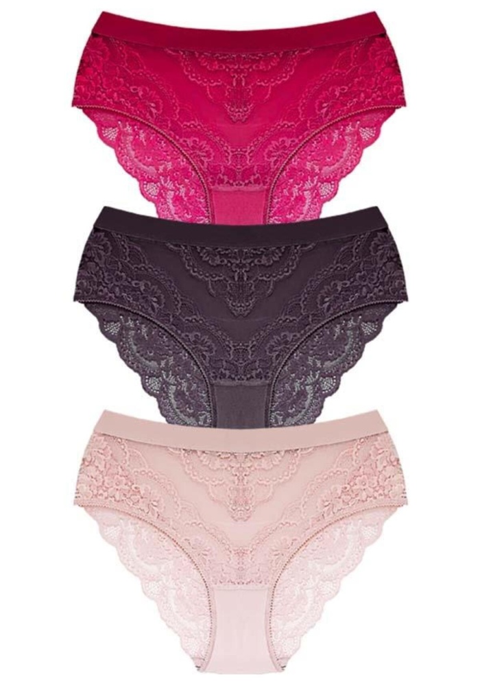 Dantelli Arkası Transparan Büyük Beden Bikini Külot CH6053