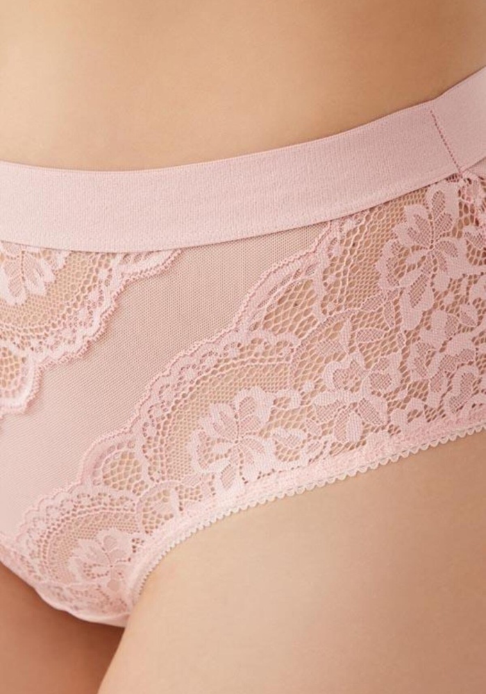 Dantelli Arkası Transparan Büyük Beden Bikini Külot CH6053