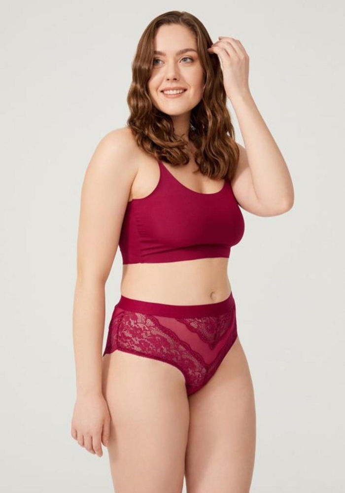 Dantelli Arkası Transparan Büyük Beden Bikini Külot CH6053