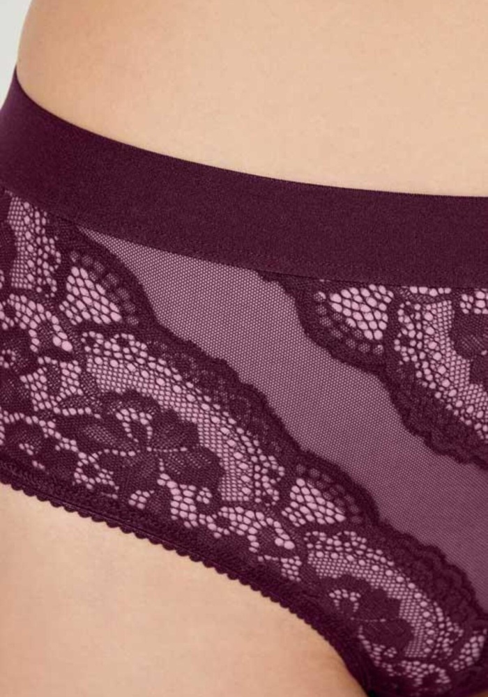 Dantelli Arkası Transparan Büyük Beden Bikini Külot CH6053