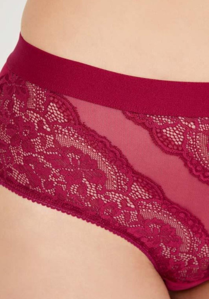 Dantelli Arkası Transparan Büyük Beden Bikini Külot CH6053