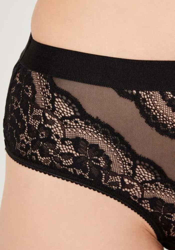 Dantelli Arkası Transparan Büyük Beden Bikini Külot CH6053