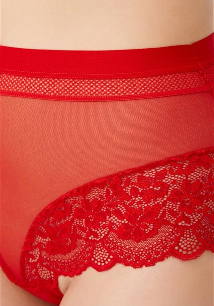 Dantel Detaylı Transparan Büyük Beden Bikini Külot CH6059