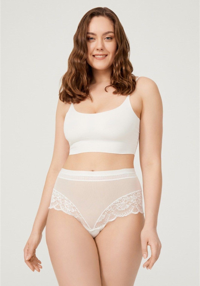 Dantel Detaylı Transparan Büyük Beden Bikini Külot CH6059