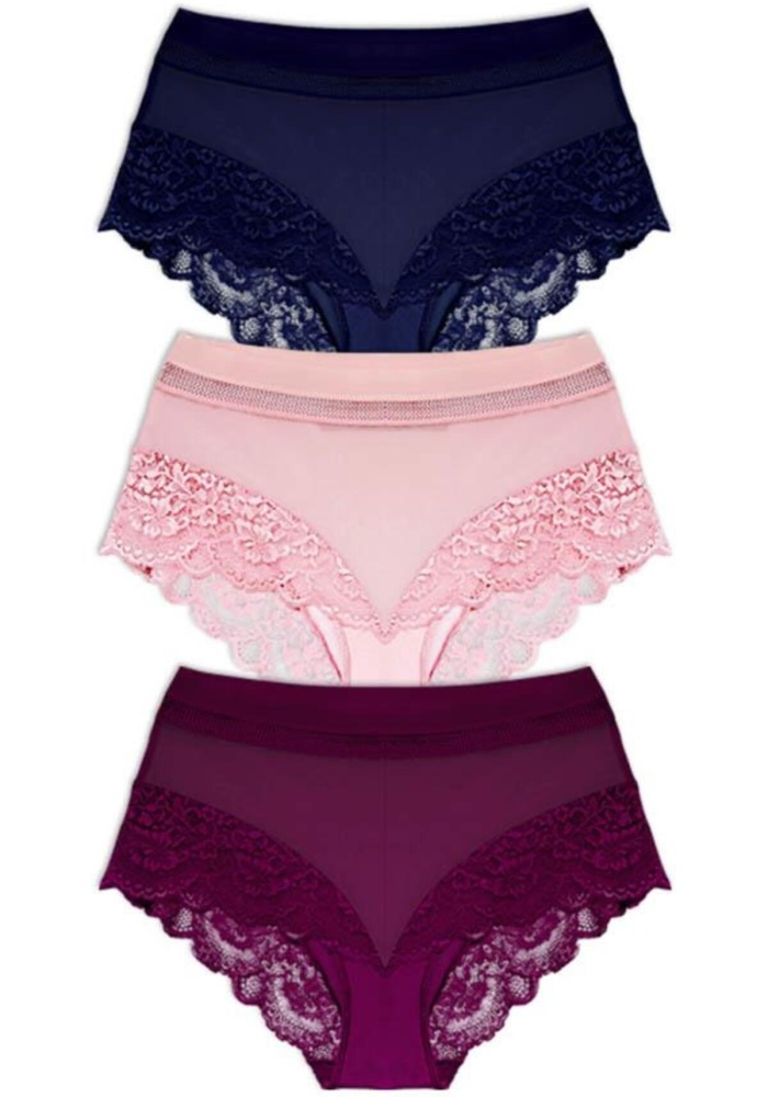 Dantel Detaylı Transparan Büyük Beden Bikini Külot CH6059