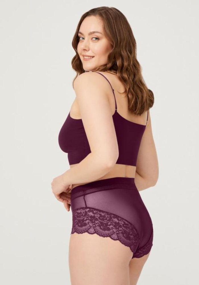 Dantel Detaylı Transparan Büyük Beden Bikini Külot CH6059