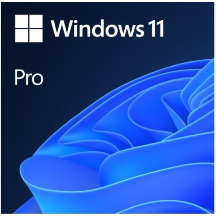 Windows 11 Pro İngilizce Oem (64 Bit) FQC-10528