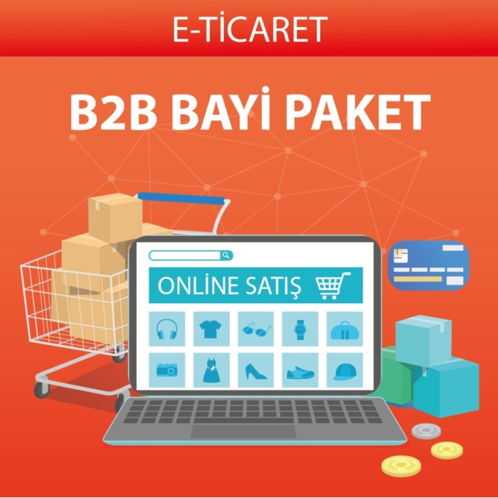 E Ticaret Sayfası B2B Paket