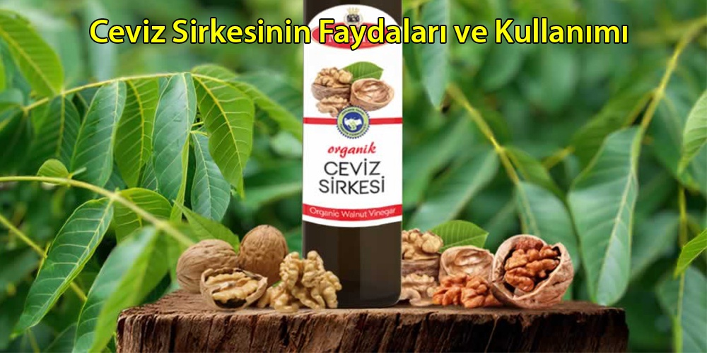 Ceviz Sirkesinin faydaları ve kullanımı