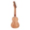 CARİSSA UK21F NAT SOPRANO UKULELE 21(İNCH)