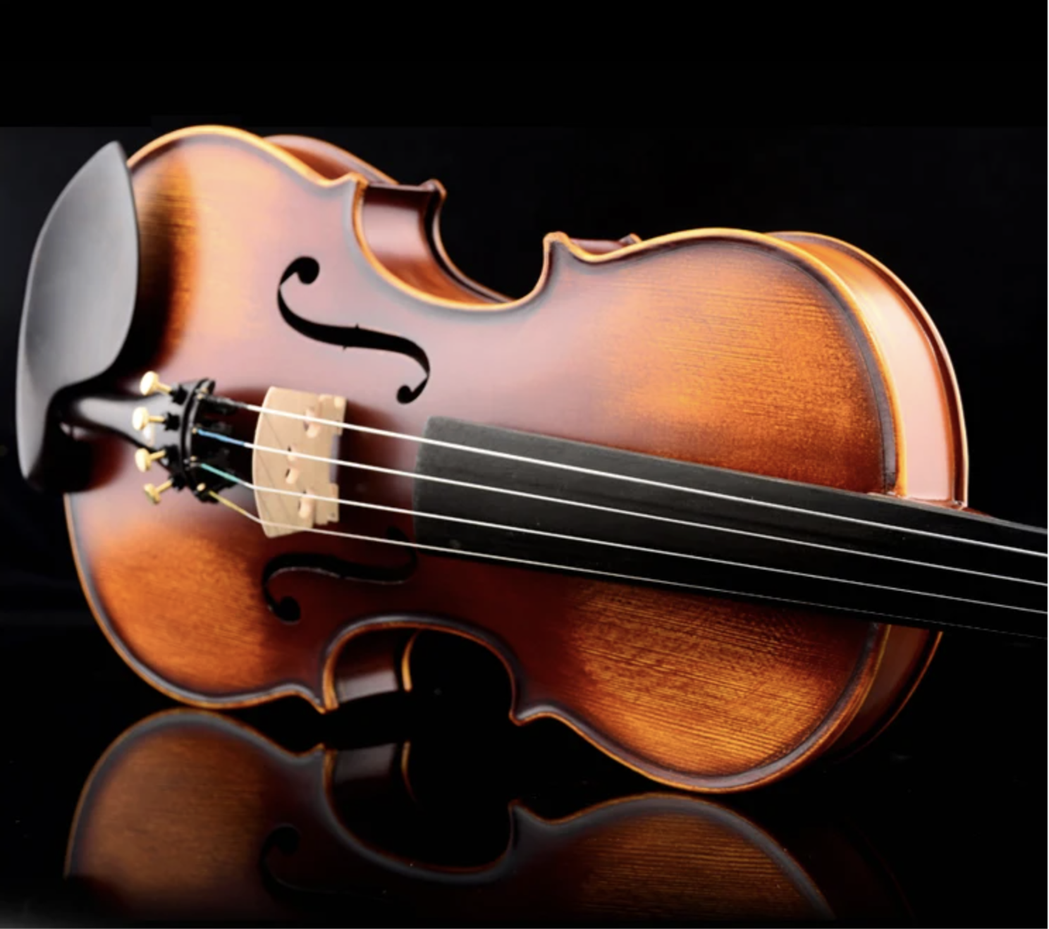 Bremen Bv-544 el yapımı 4/4 profesyonel keman önden görünüm