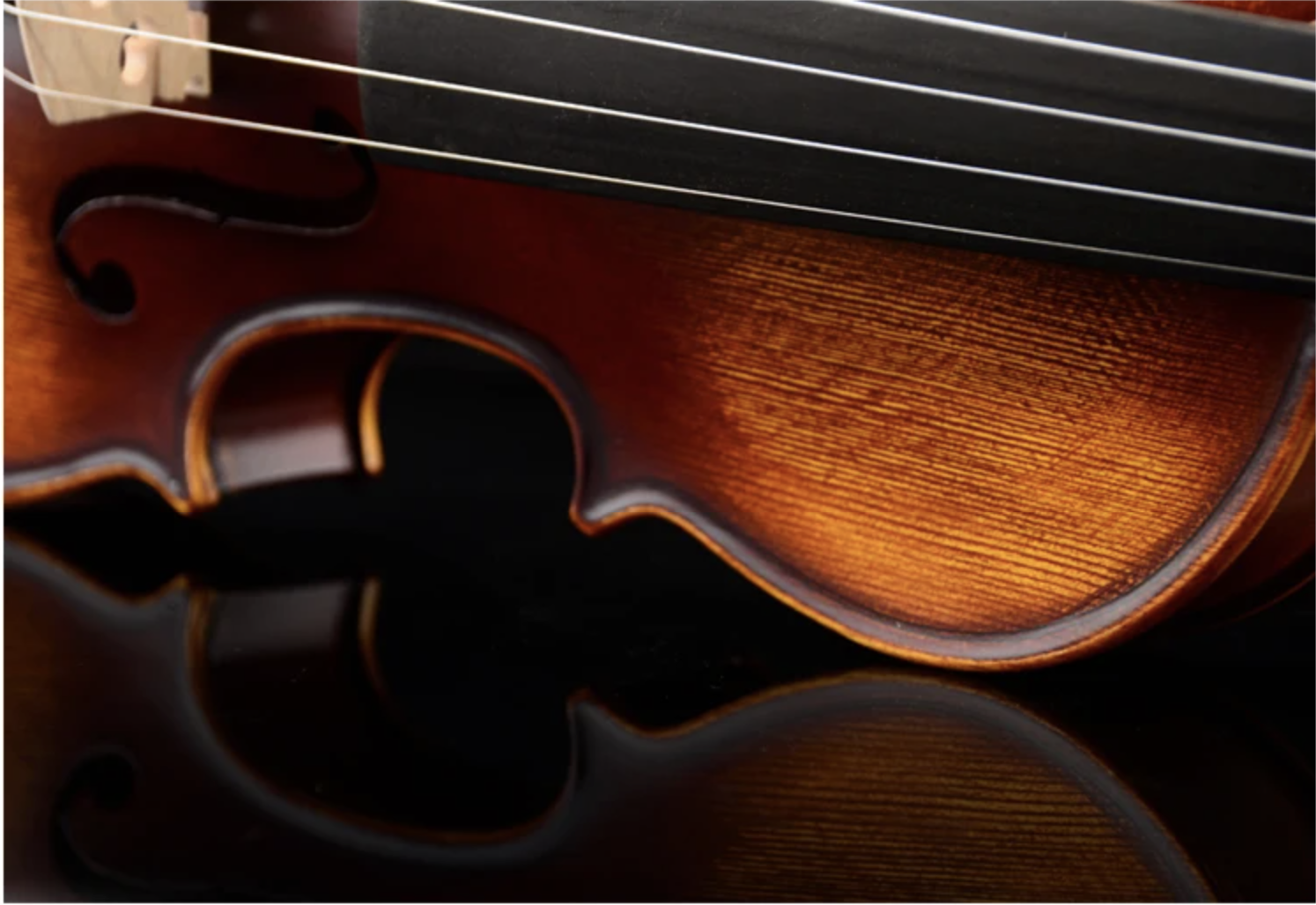 Bremen Bv-544 keman yan ve arka görünüm, masif akça ve doğal vernik detay