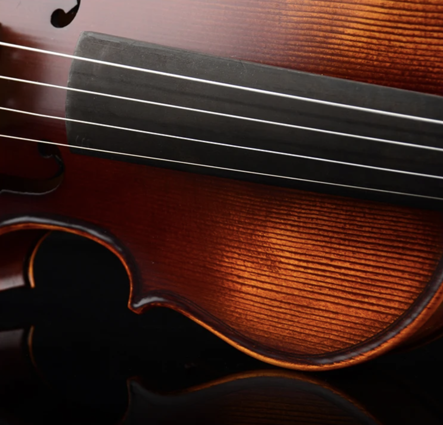 Bremen Bv-544 abanoz aksamlı el yapımı keman köprü ve klavye detay