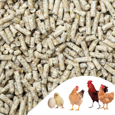 Narım 20 KG Pelet Proteinli Özel Tavuk Kaz Ördek ve Kanatlı Hayvan Besi Yumurta Yemi 20 KG