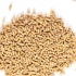 Narım 1 KG Pelet Proteinli Özel Tavuk Kaz Ördek ve Kanatlı Hayvan Besi Yumurta Yemi 1 KG