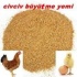 Narım 2 KG Pelet Proteinli Özel Tavuk Kaz Ördek ve Kanatlı Hayvan Besi Yumurta Yemi 2 KG