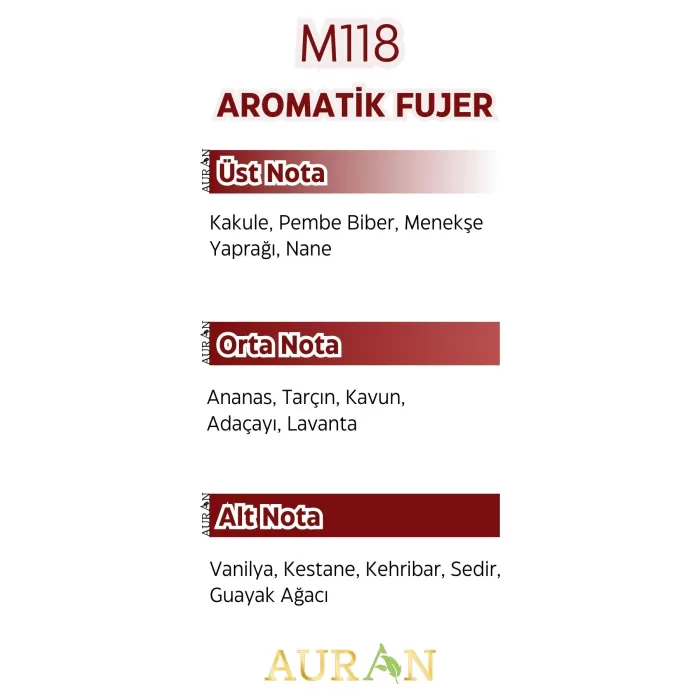 AURAN M118 - Stronger With You Erkek Parfüm AROMATİK FUJER 50ml