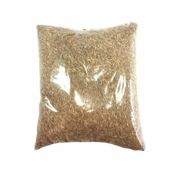 Çim Tohumu (500 Gr)