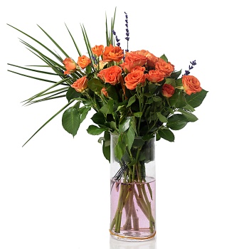 Orange Sprey Rose