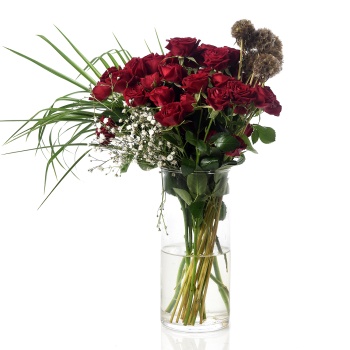 Scabiosa Red Sprey Rose