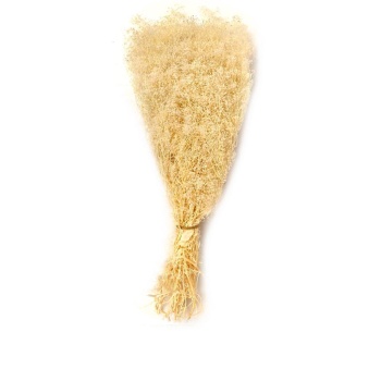 Gypsophila Mini Beyaz Code 00