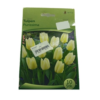 Tulipa - Lale Soğanı