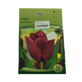 Tulpen - Lale Soğanı