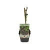 Rubus Thornless Blackberry (9 Cm Saksıda)