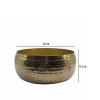 Oval Gold Metal Saksı 22X11,5 Cm