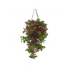 Askılı Tradescantia (18 Cm Saksıda)