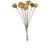 Wood Rose 10 Lu Demet