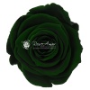 Rosa Şoklu  Ll-Xl Size Gre-02(6 Lı Kutu)