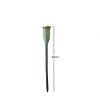 Plastik Gül Sapı 30Cm 5Li