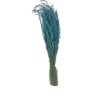 Star Grass Mavi
