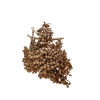 Canella Natural 5 Dal