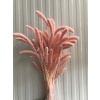 Setarıa Pastel Pembe Demet