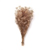 Gypso Krem Yerli