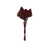 Palm Spear 10Lu