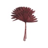 Palm Sun Bordo