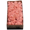 Reindermoss Liken Yosun-Pastel Pembe