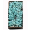 Reindermoss Liken Yosun-Pastel Mavi