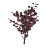 Şoklanmış Eucalypthus Bordo