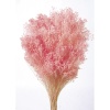 Broom Bloom Pudra Pembe 100 Gr Code 40