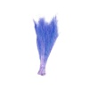 Stipa (Stypha)