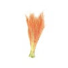 Stipa (Stypha)