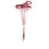 Wood Rose Pembe