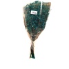 Gypsophila Petrol Mavisi