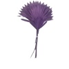 Palm Sun Mor Demet