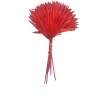 Palm Sun Kırmızı Demet
